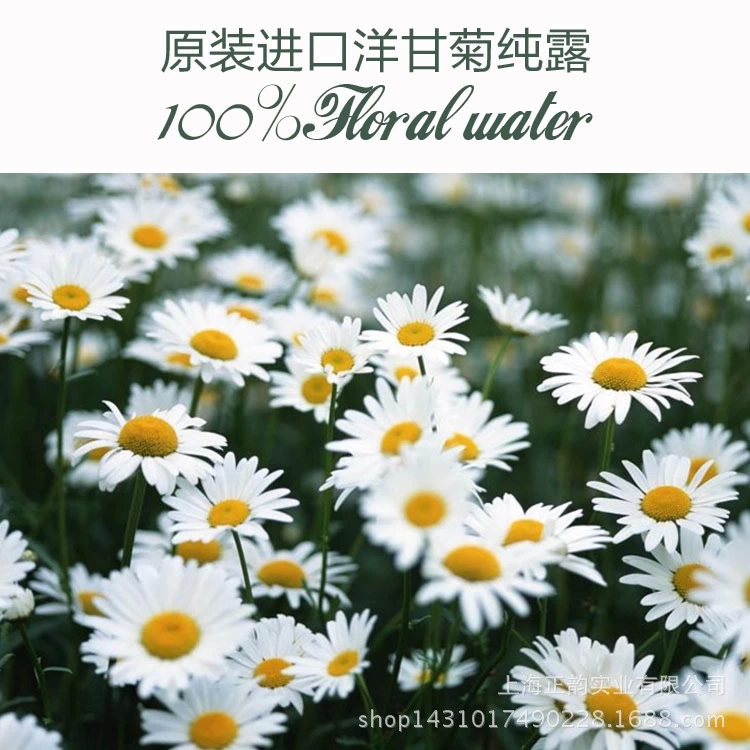 Chamomile Floral Water